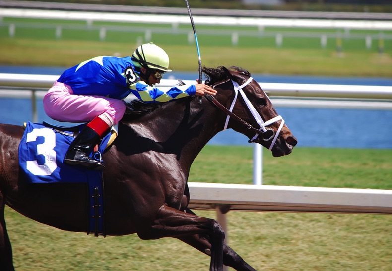 Jockey leading in horse race