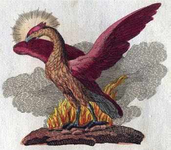 The mythological Phoenix