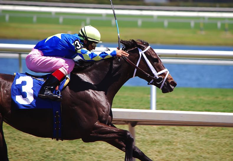 Horse race action shot