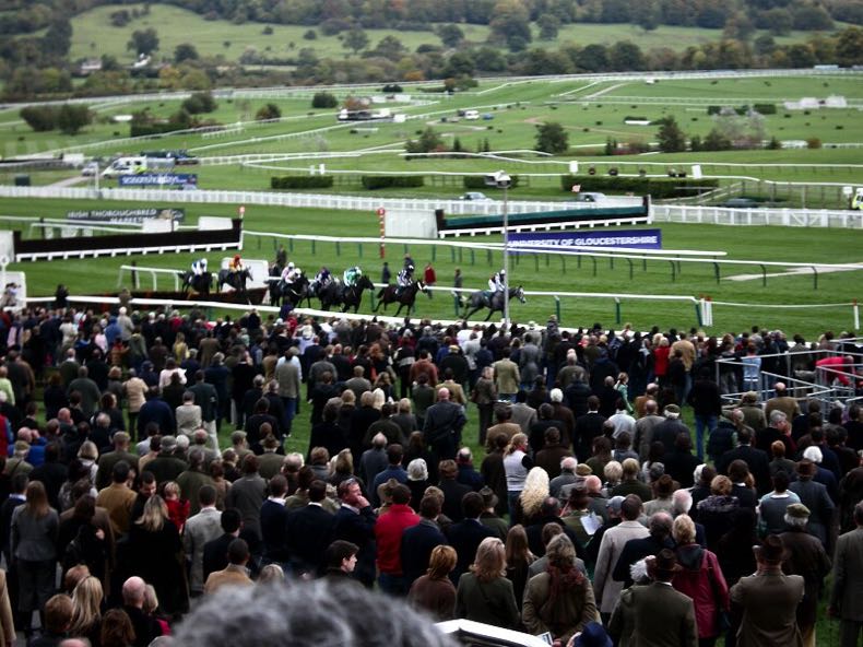 Cheltenham Racecourse crowds