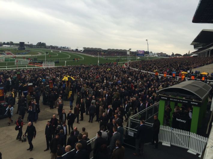 Cheltenham crowds