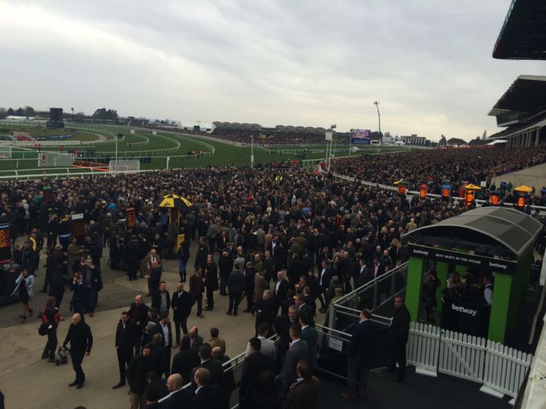 Cheltenham crowds