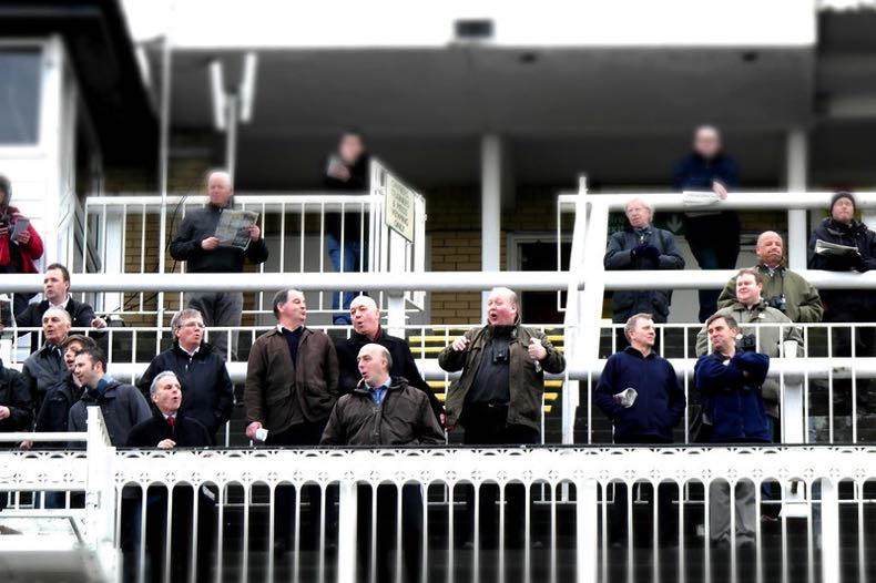 Horse race punters