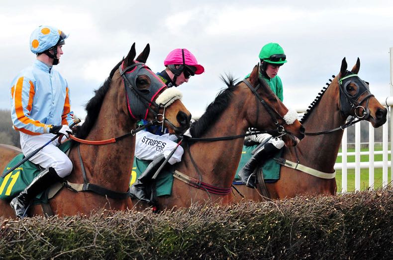 Horse race, false start